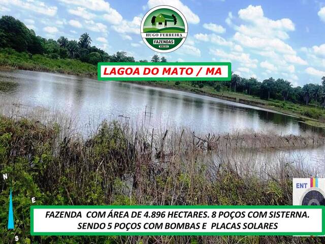 #5999 - Fazenda para Venda em Lagoa do Mato - MA - 1