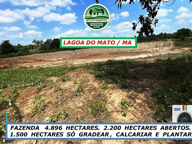 #5999 - Fazenda para Venda em Lagoa do Mato - MA - 2