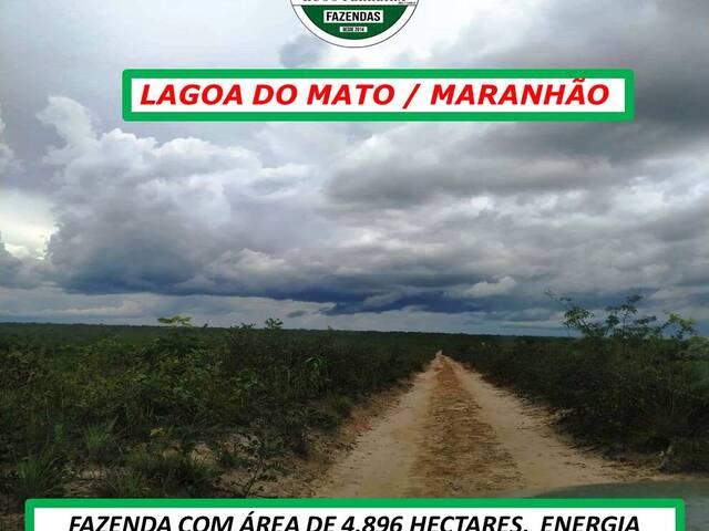 #5999 - Fazenda para Venda em Lagoa do Mato - MA - 3
