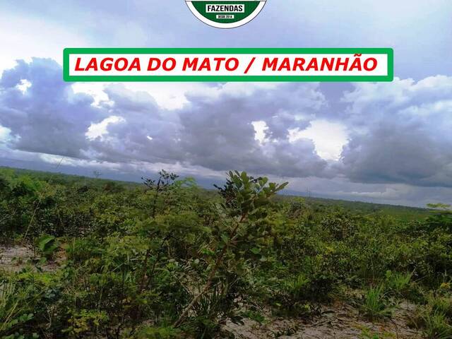  para  em  - 5