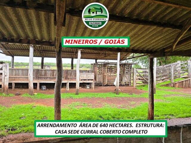 #6129 - Chácara para Arrendamento em Mineiros - GO - 2