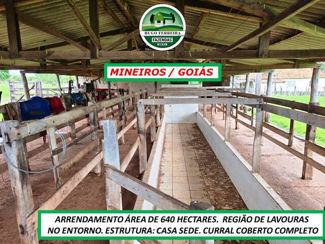 #6129 - Chácara para Arrendamento em Mineiros - GO - 3