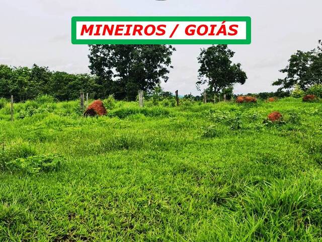  para  em  - 5