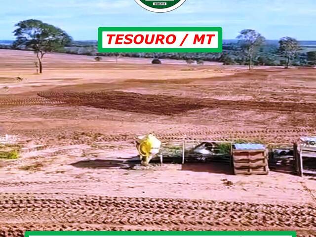 #6011 - Fazenda para Venda em Tesouro - MT - 2