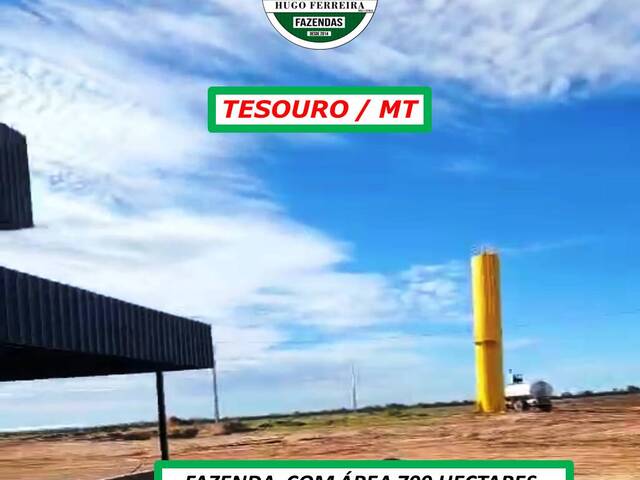 #6011 - Fazenda para Venda em Tesouro - MT - 1