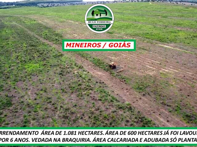 #6022 - Fazenda para Arrendamento em Mineiros - GO - 2