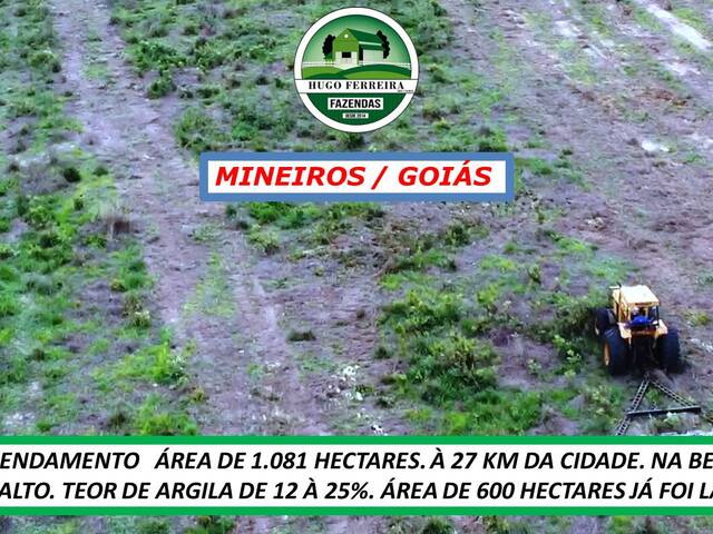 #6022 - Fazenda para Arrendamento em Mineiros - GO - 3