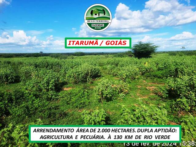 #6033 - Fazenda para Arrendamento em Itarumã - GO - 2