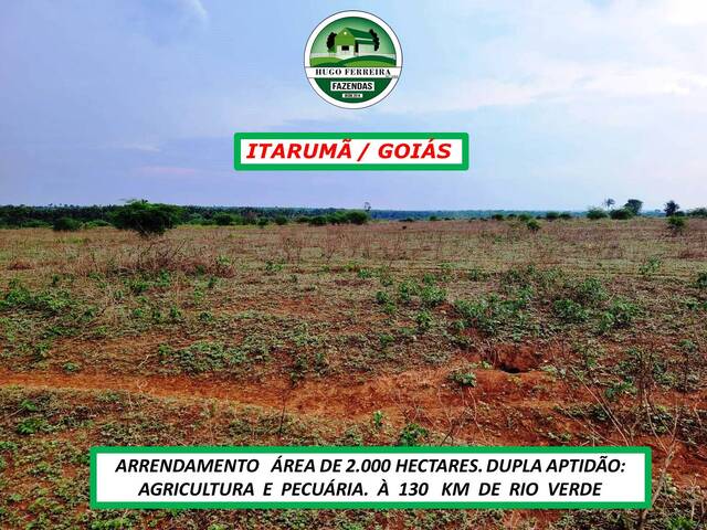 #6033 - Fazenda para Arrendamento em Itarumã - GO - 3