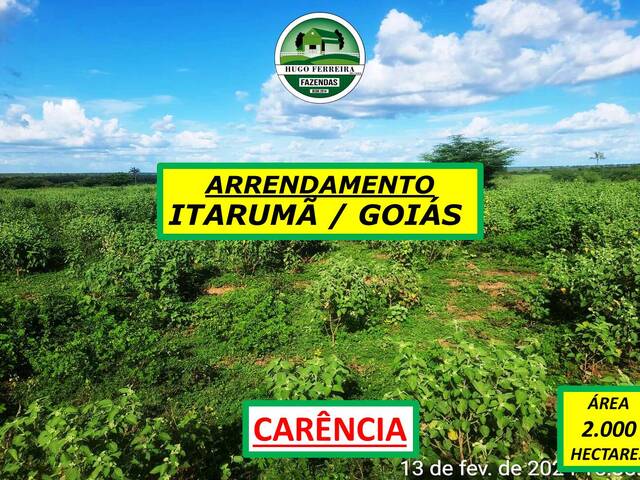 #6033 - Fazenda para Arrendamento em Itarumã - GO - 1