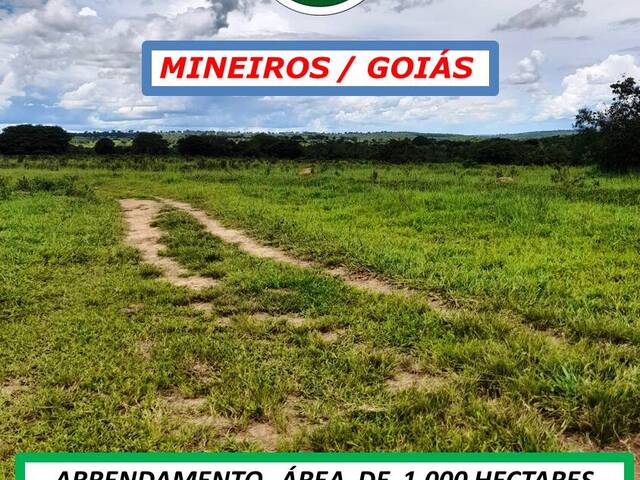 #6044 - Fazenda para Arrendamento em Mineiros - GO - 2