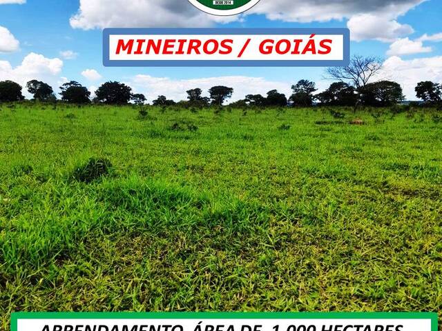 #6044 - Fazenda para Arrendamento em Mineiros - GO - 3