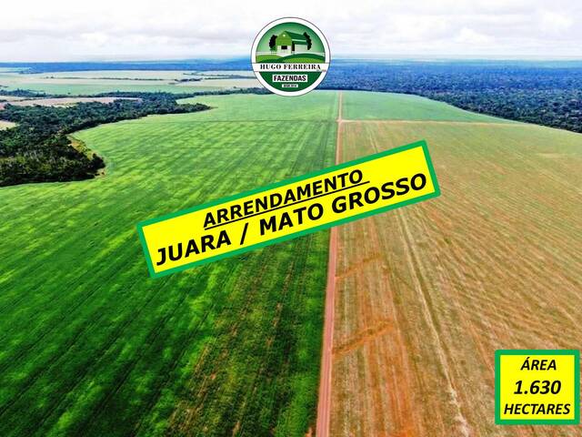 #6056 - Fazenda para Arrendamento em Juara - MT - 1