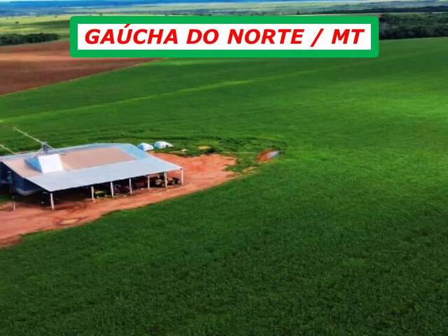 #6060 - Fazenda para Arrendamento em Gaúcha do Norte - MT - 2