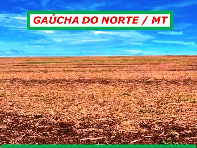 #6060 - Fazenda para Arrendamento em Gaúcha do Norte - MT - 3