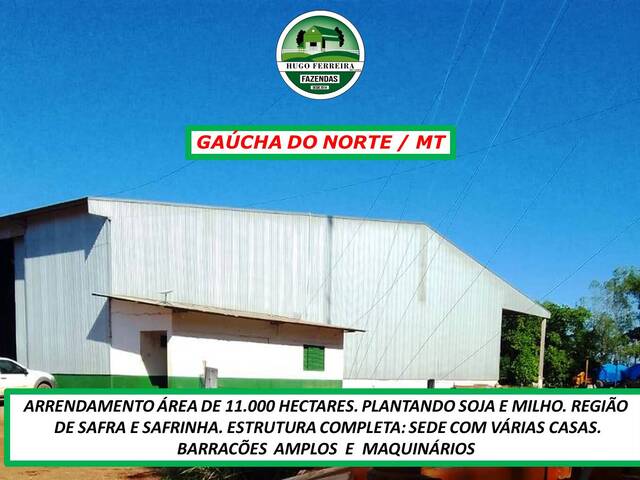 #6077 - Fazenda para Arrendamento em Gaúcha do Norte - MT - 3