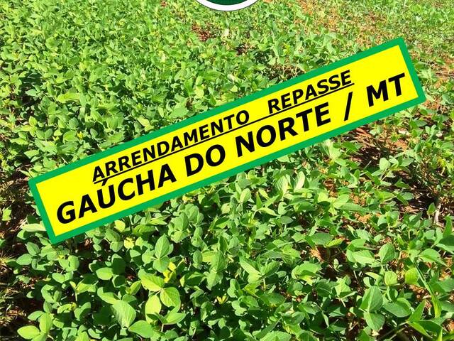 #6077 - Fazenda para Arrendamento em Gaúcha do Norte - MT - 1