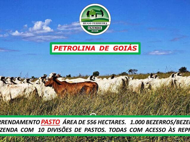 #6099 - Fazenda para Arrendamento em Petrolina de Goiás - GO - 2