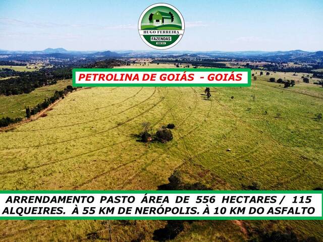 #6099 - Fazenda para Arrendamento em Petrolina de Goiás - GO - 3