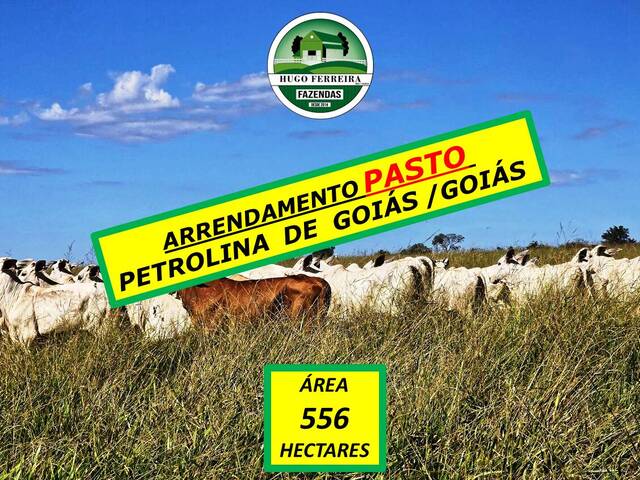 #6099 - Fazenda para Arrendamento em Petrolina de Goiás - GO - 1