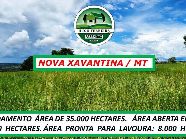 #6100 - Fazenda para Arrendamento em Nova Xavantina - MT - 2