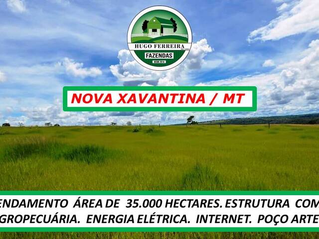 #6100 - Fazenda para Arrendamento em Nova Xavantina - MT - 3
