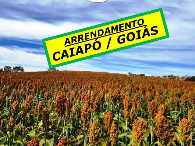 #6111 - Fazenda para Arrendamento em Caiapônia - GO - 1