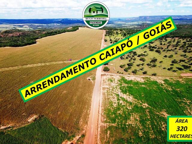 #6111 - Fazenda para Arrendamento em Caiapônia - GO - 3