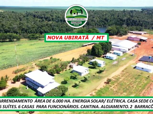 #6133 - Fazenda para Arrendamento em Nova Ubiratã - MT - 2
