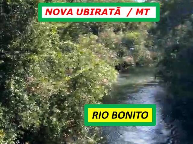 #6133 - Fazenda para Arrendamento em Nova Ubiratã - MT - 3