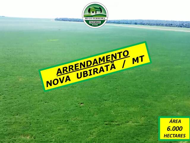 #6133 - Fazenda para Arrendamento em Nova Ubiratã - MT - 1