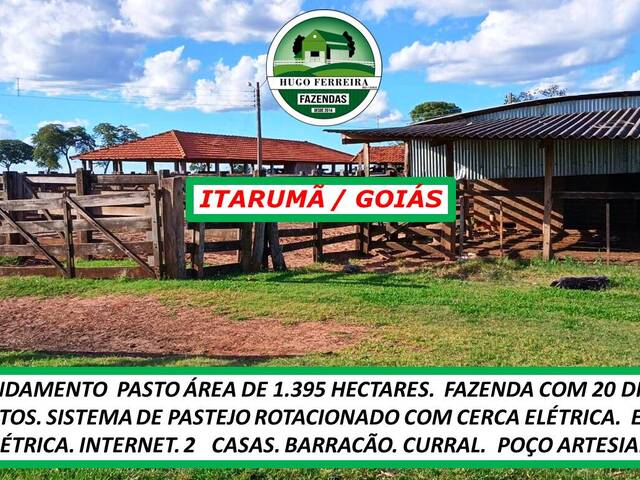 #6141 - Fazenda para Arrendamento em Itarumã - GO - 2