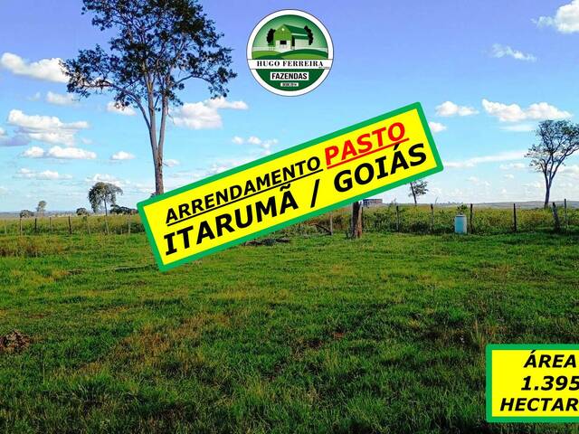 #6141 - Fazenda para Arrendamento em Itarumã - GO - 1