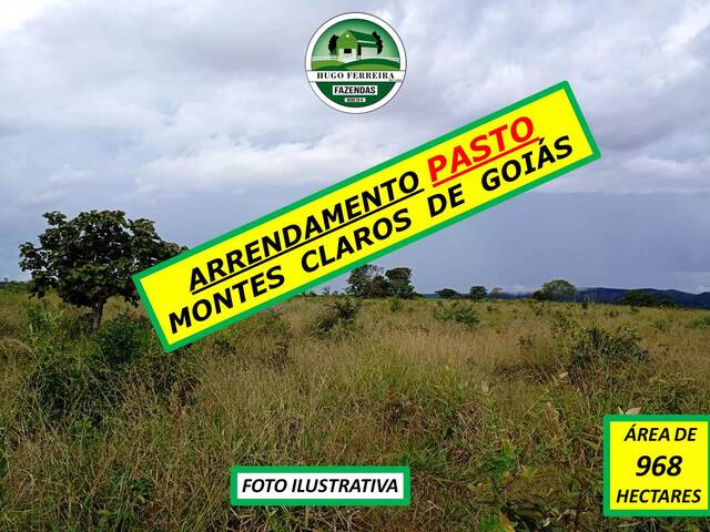 #6155 - Chácara para Arrendamento em Montes Claros de Goiás - GO - 1