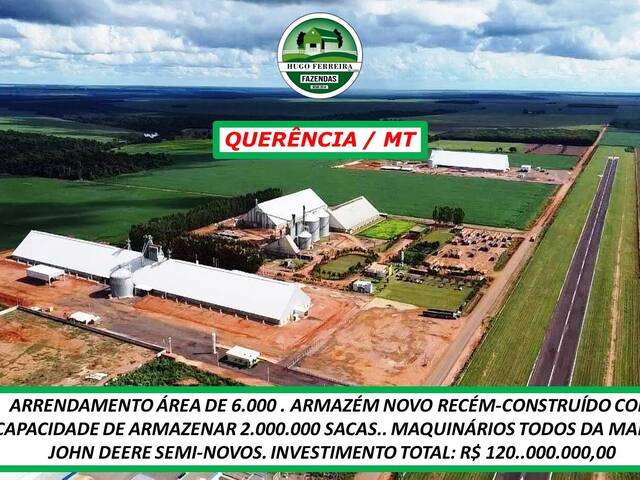 #6161 - Fazenda para Arrendamento em Querência - MT - 3