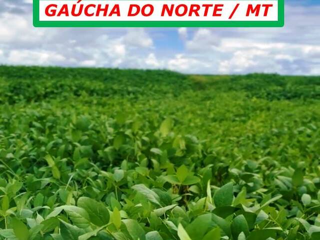 #6190 - Fazenda para Arrendamento em Gaúcha do Norte - MT - 3