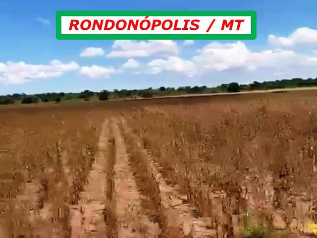 #6200 - Fazenda para Arrendamento em Rondonópolis - MT - 2