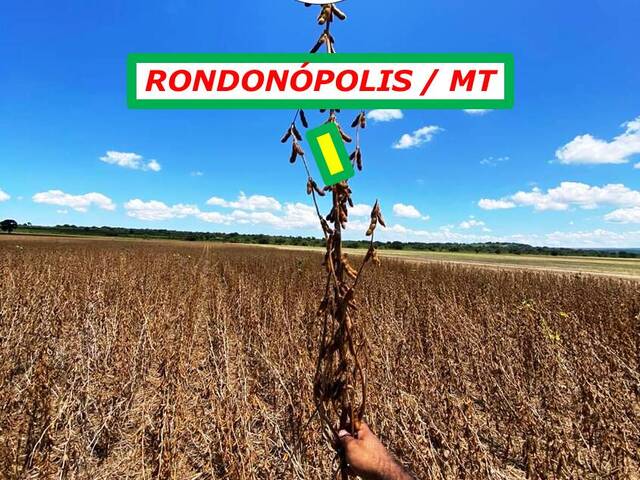 #6200 - Fazenda para Arrendamento em Rondonópolis - MT - 3