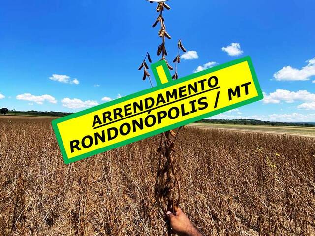 #6200 - Fazenda para Arrendamento em Rondonópolis - MT - 1