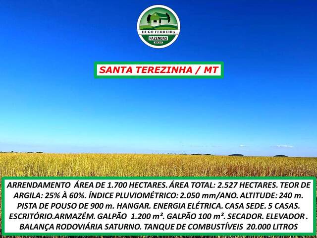 #6211 - Fazenda para Arrendamento em Santa Terezinha - MT - 2