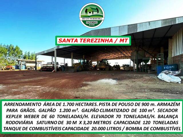 #6211 - Fazenda para Arrendamento em Santa Terezinha - MT - 3