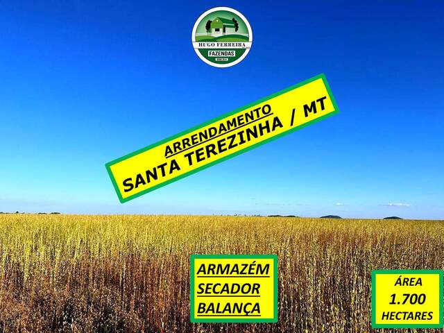 #6211 - Fazenda para Arrendamento em Santa Terezinha - MT - 1