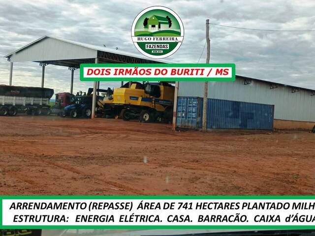 #6222 - Fazenda para Arrendamento em Dois Irmãos do Buriti - MS - 2
