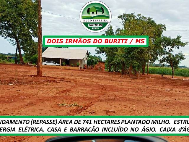 #6222 - Fazenda para Arrendamento em Dois Irmãos do Buriti - MS - 3