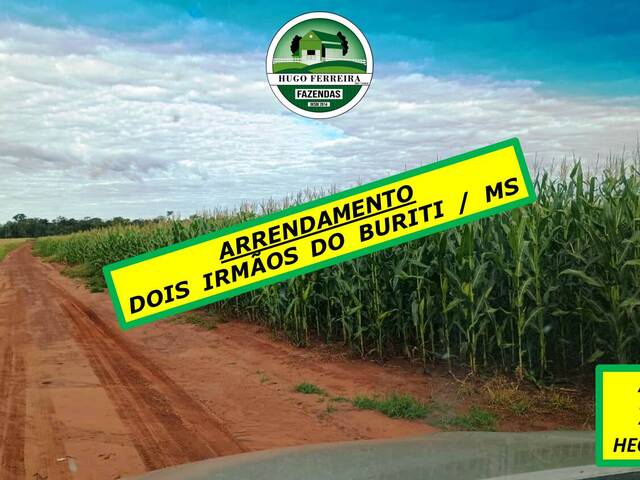 #6222 - Fazenda para Arrendamento em Dois Irmãos do Buriti - MS - 1