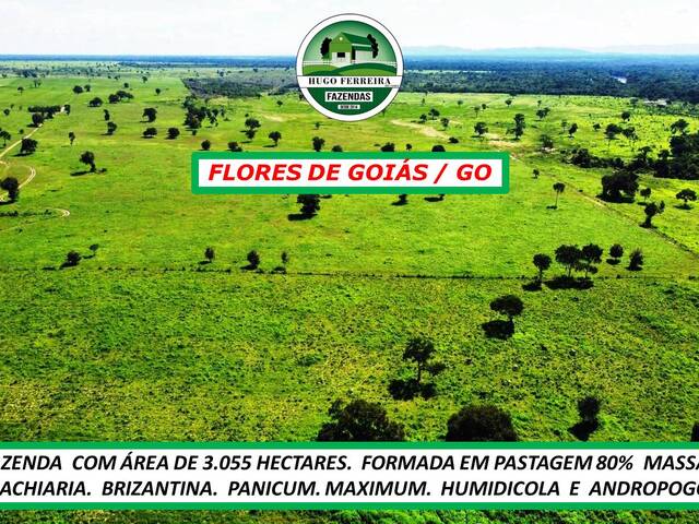 #6230 - Fazenda para Venda em Flores de Goiás - GO - 1