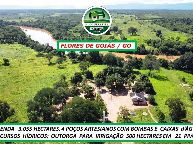 #6230 - Fazenda para Venda em Flores de Goiás - GO - 2