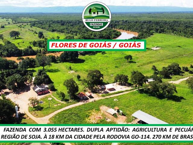 #6230 - Fazenda para Venda em Flores de Goiás - GO - 3