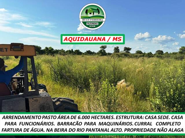 #6248 - Fazenda para Arrendamento em Aquidauana - MS - 2