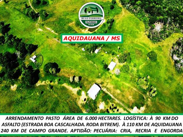 #6248 - Fazenda para Arrendamento em Aquidauana - MS - 3